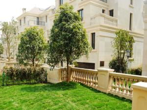 金華住宅與商業地產租賃市場動態及指南