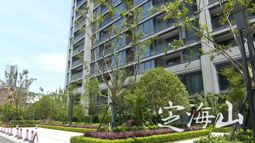 房票政策與物業(yè)管理 一場權(quán)益的轉(zhuǎn)移與責(zé)任的銜接